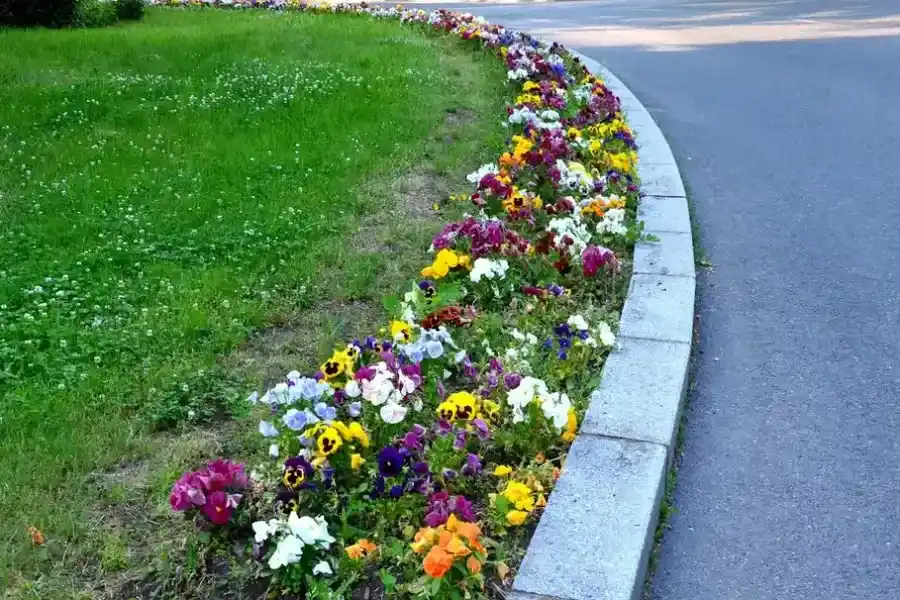 How Flower Bed Edging Improves Drainage In Gardens Monroe, WA